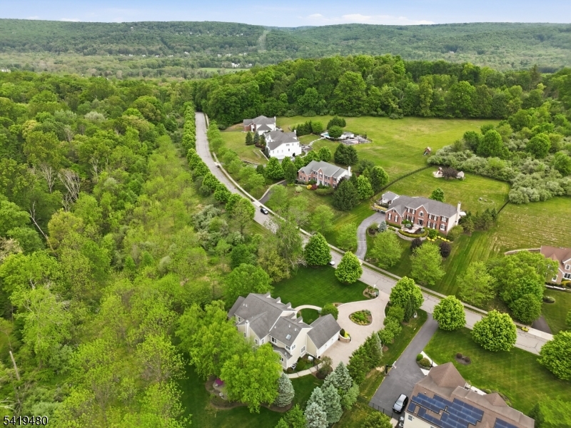 8 Ridgeline Drive Long Valley, NJ 07853 - Photo 47 of 50