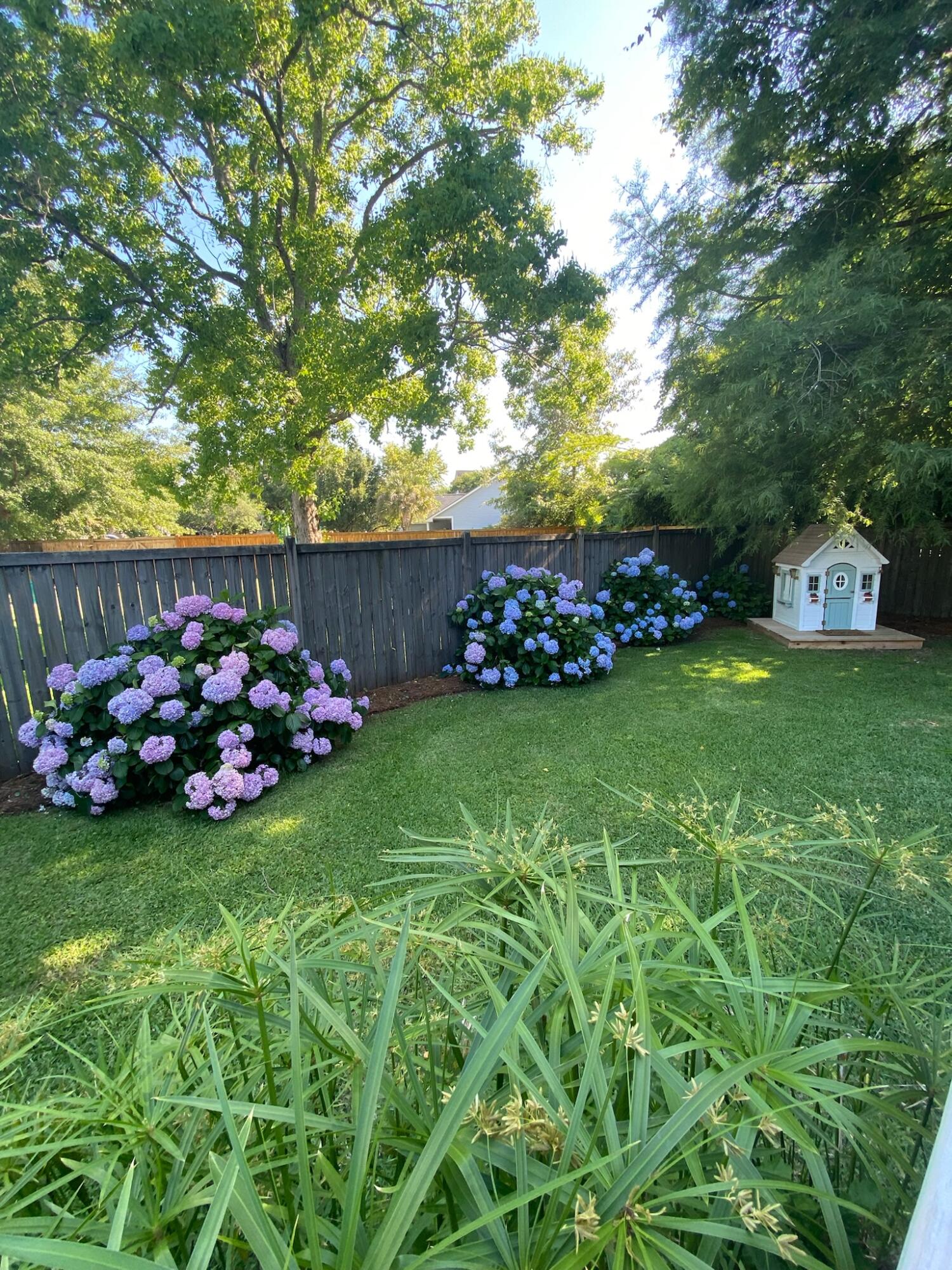 741 Veron Place Mount Pleasant, SC 29464 - Photo 29 of 34 IMG_7942