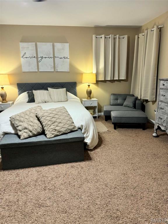 885 Liberty Road Harrisburg, IL 62946 - Photo 14 of 17