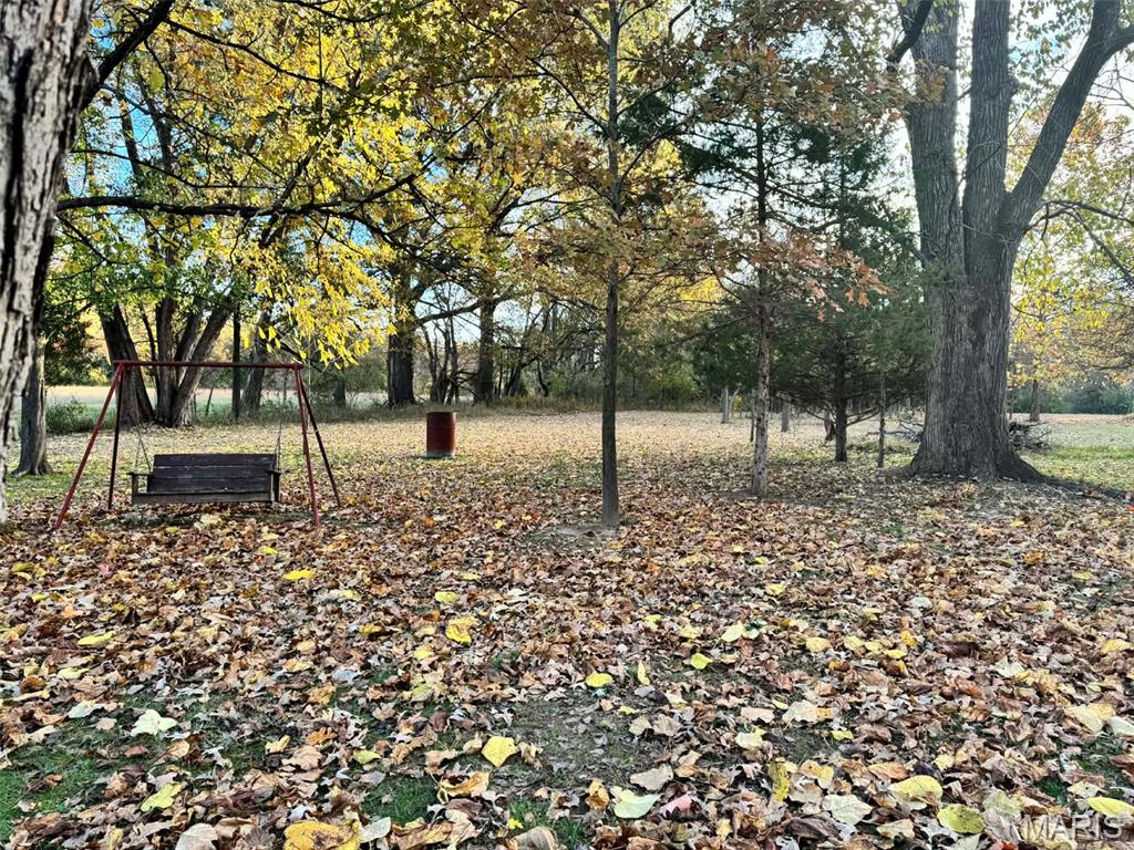 885 Liberty Road Harrisburg, IL 62946 - Photo 3 of 17