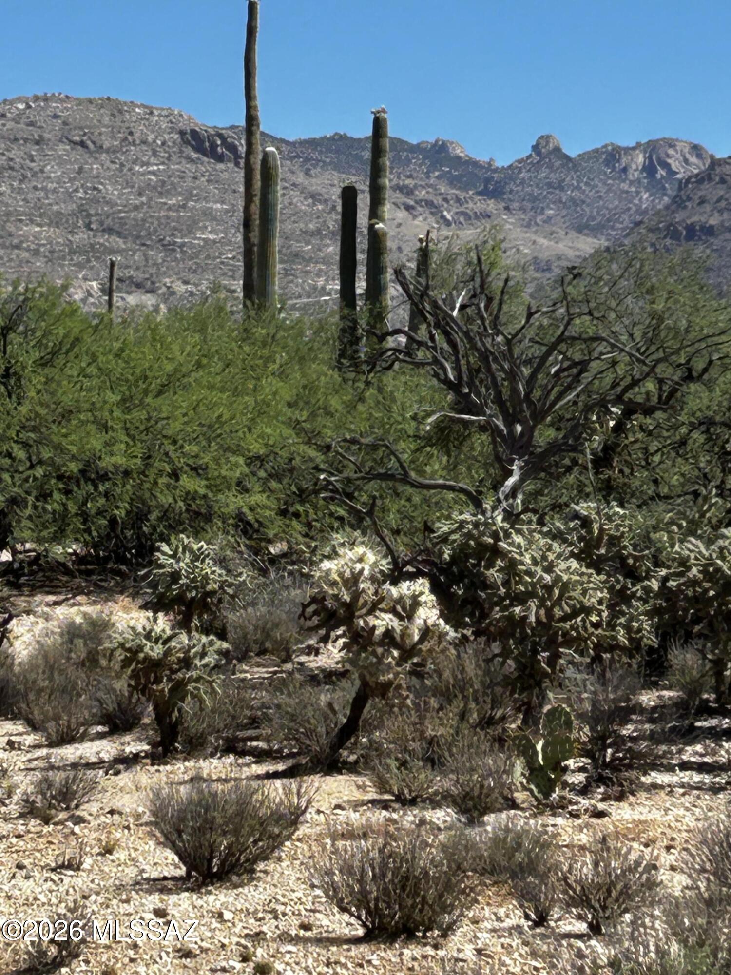 East Roger Road, Unit 46 Tucson, AZ 85749 - Photo 22 of 38