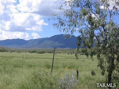 1 Lot On Stronghold & Palm Road Cochise, AZ 85606 - Photo 3 of 8