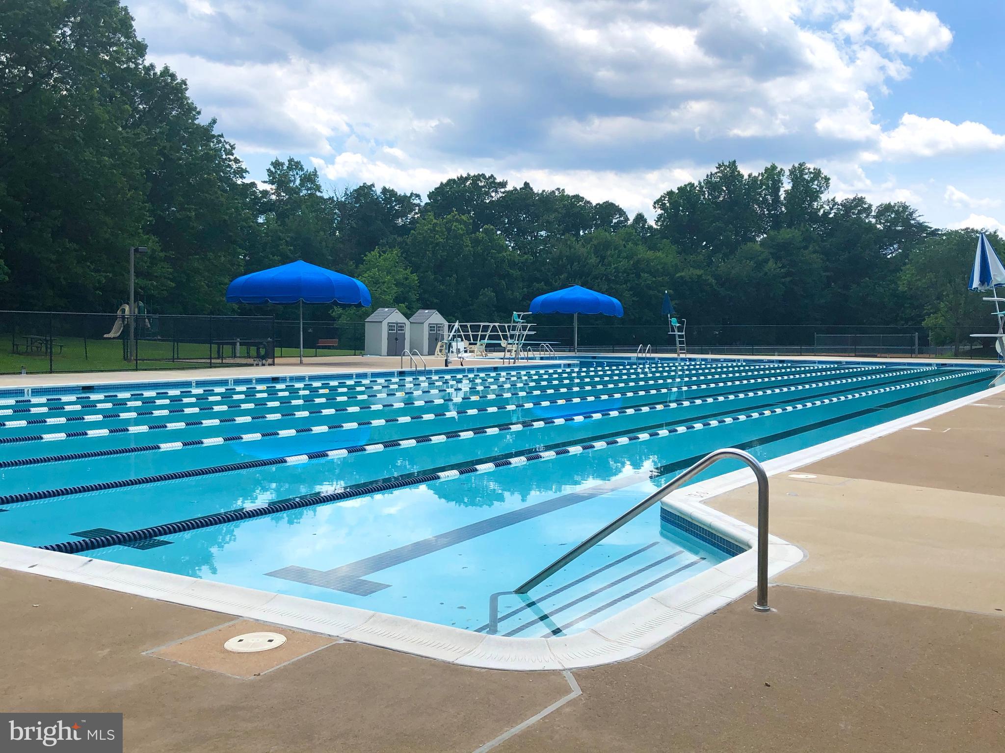 11633 Chapel Cross Way Reston, VA 20194 - Photo 46 of 64 Lake Newport Olympic-sized 50m pool