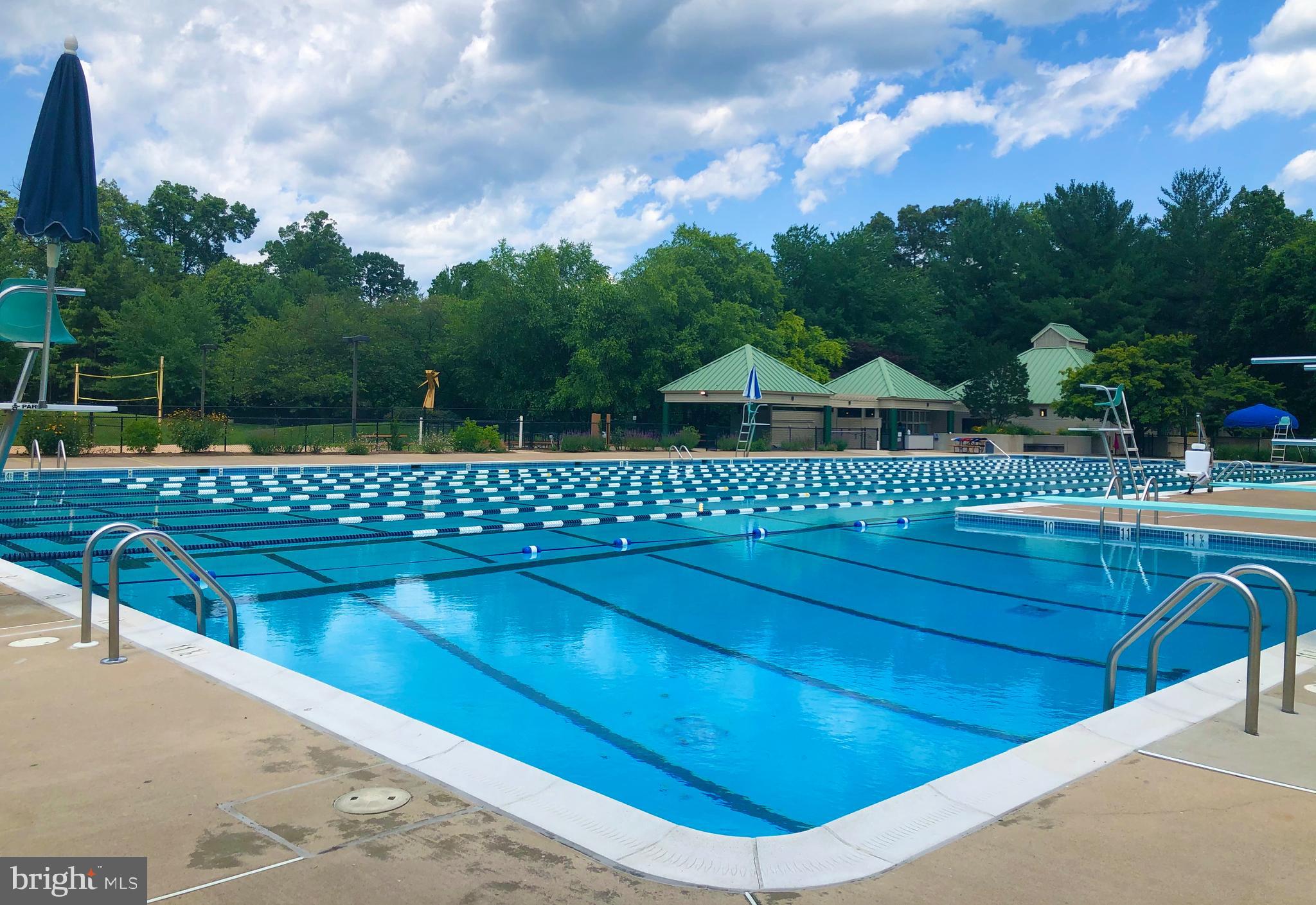 11633 Chapel Cross Way Reston, VA 20194 - Photo 47 of 64 Separate deep end to practice your flips and flops
