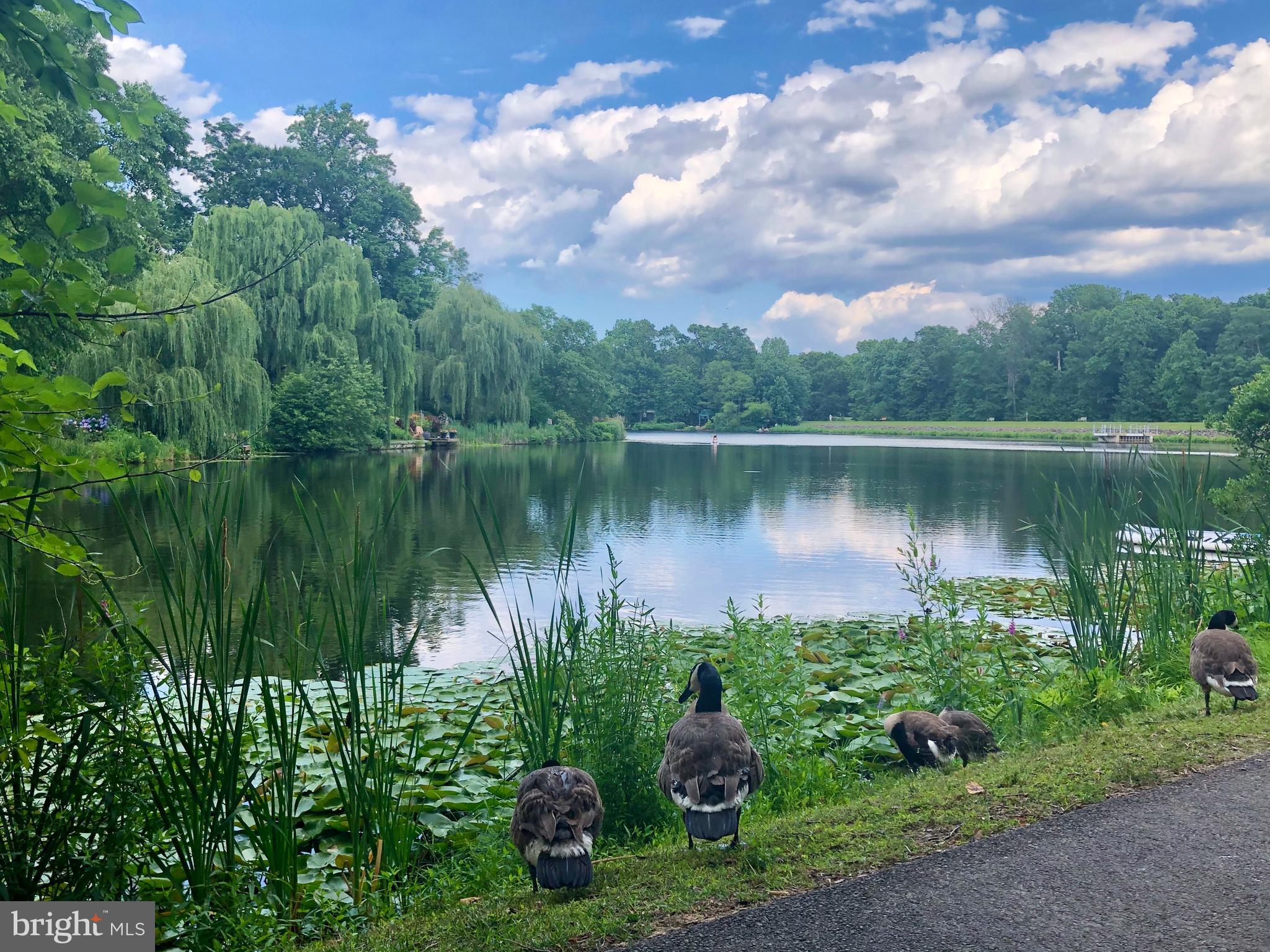 11633 Chapel Cross Way Reston, VA 20194 - Photo 51 of 64 And make some new friends along the way :)