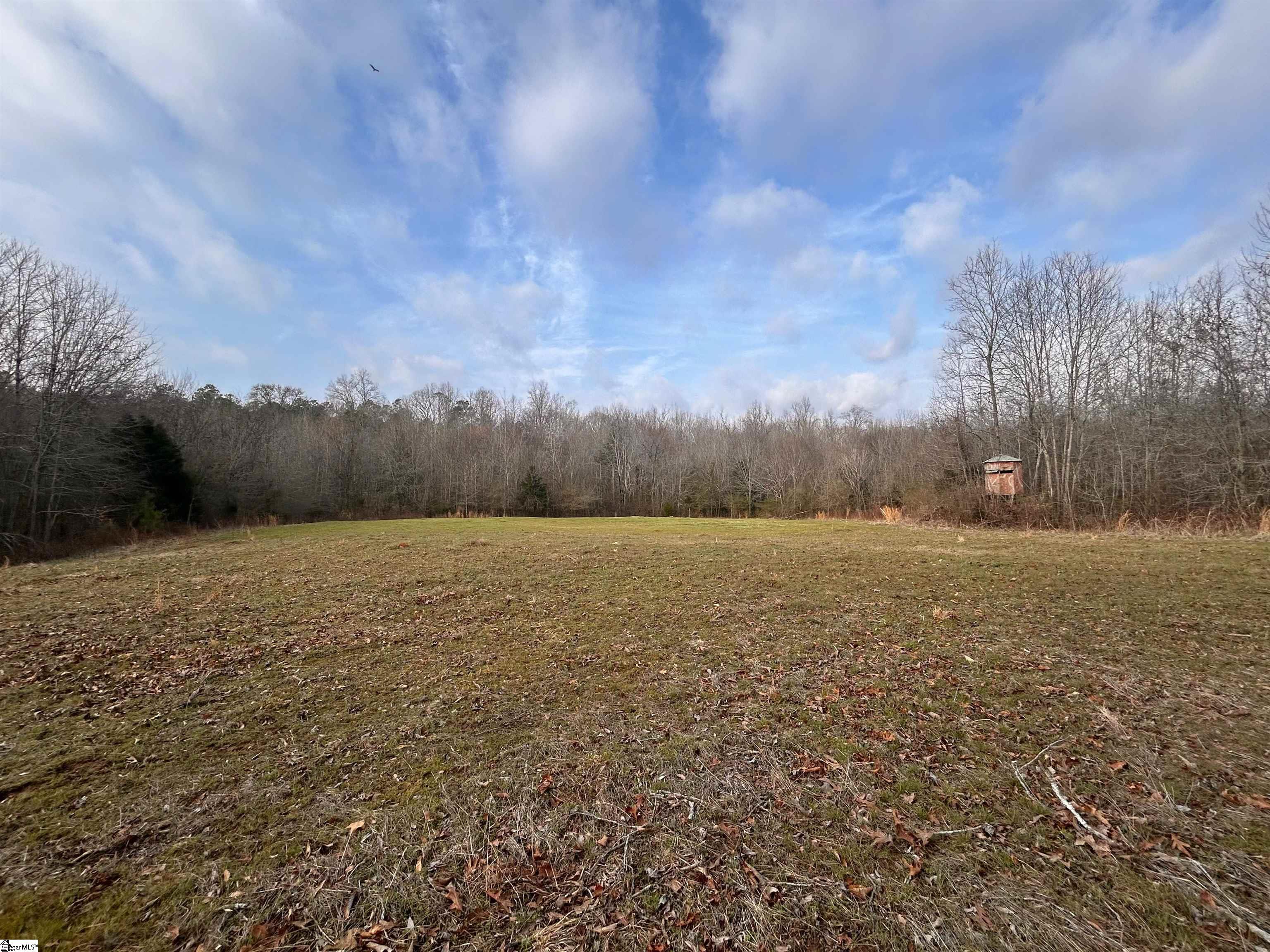 0 Hemlock Drive Clinton, SC 29325 - Photo 8 of 23