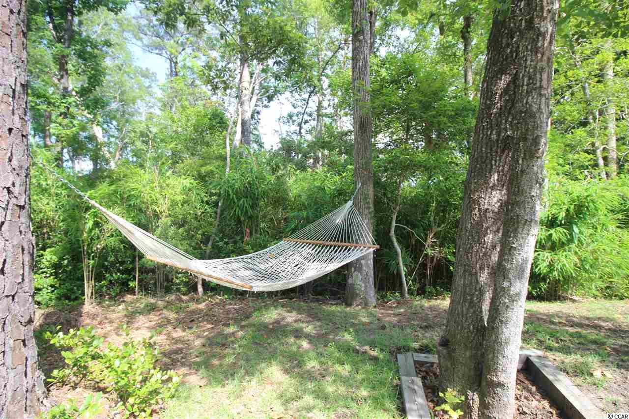 22 Dunning Road Pawleys Island, SC 29585 - Photo 21 of 21 Gallery Image 21