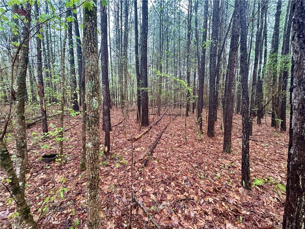 0 Walker Mountain Road Southwest Rome, GA 30161 - Photo 3 of 9