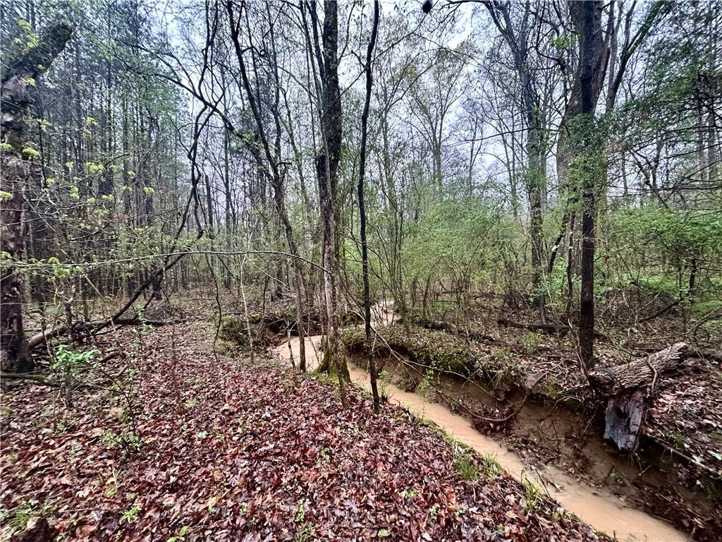 0 Walker Mountain Road Southwest Rome, GA 30161 - Photo 4 of 9