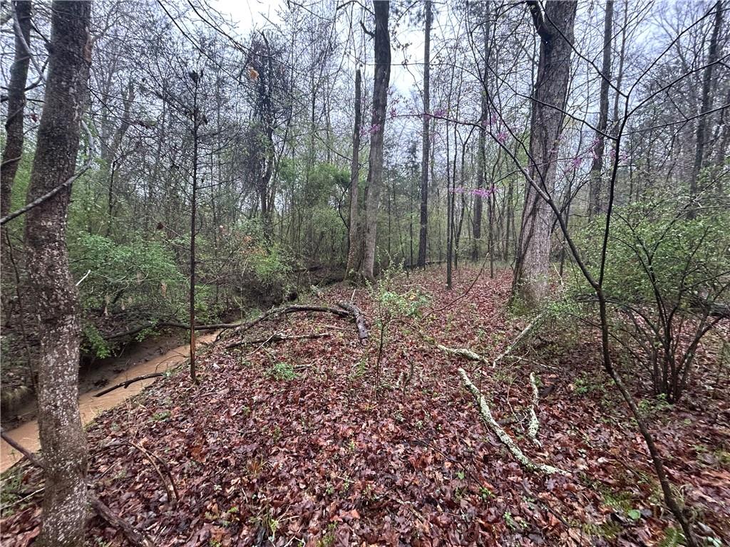 0 Walker Mountain Road Southwest Rome, GA 30161 - Photo 5 of 9