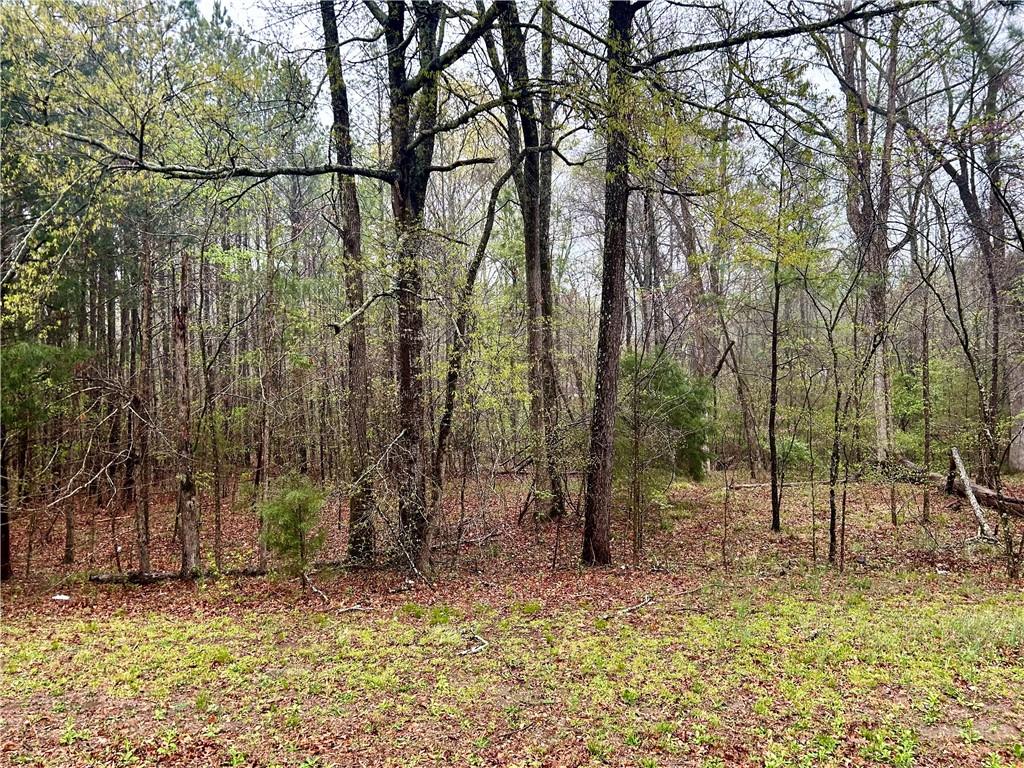 0 Walker Mountain Road Southwest Rome, GA 30161 - Photo 6 of 9