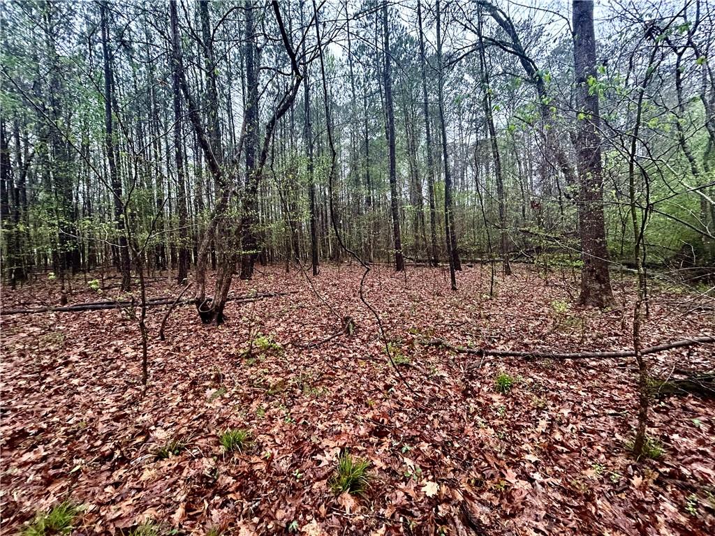 0 Walker Mountain Road Southwest Rome, GA 30161 - Photo 7 of 9