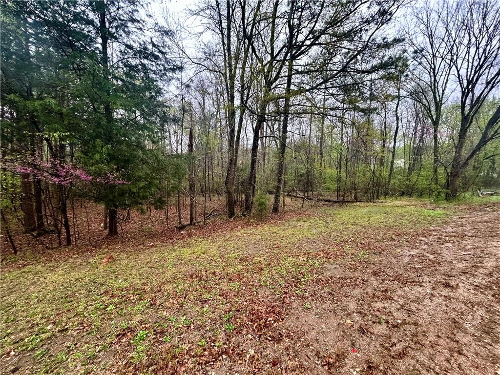 0 Walker Mountain Road Southwest Rome, GA 30161 - Photo 8 of 9