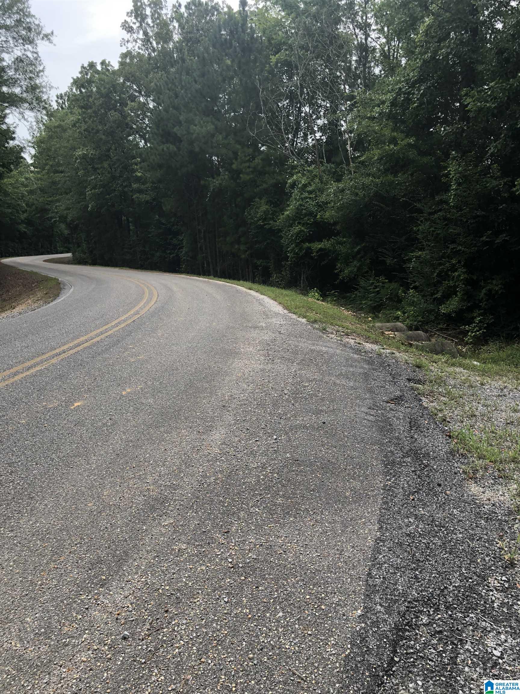 1 Higgins Road, Unit 1 Shelby, AL 35143 - Photo 21 of 21