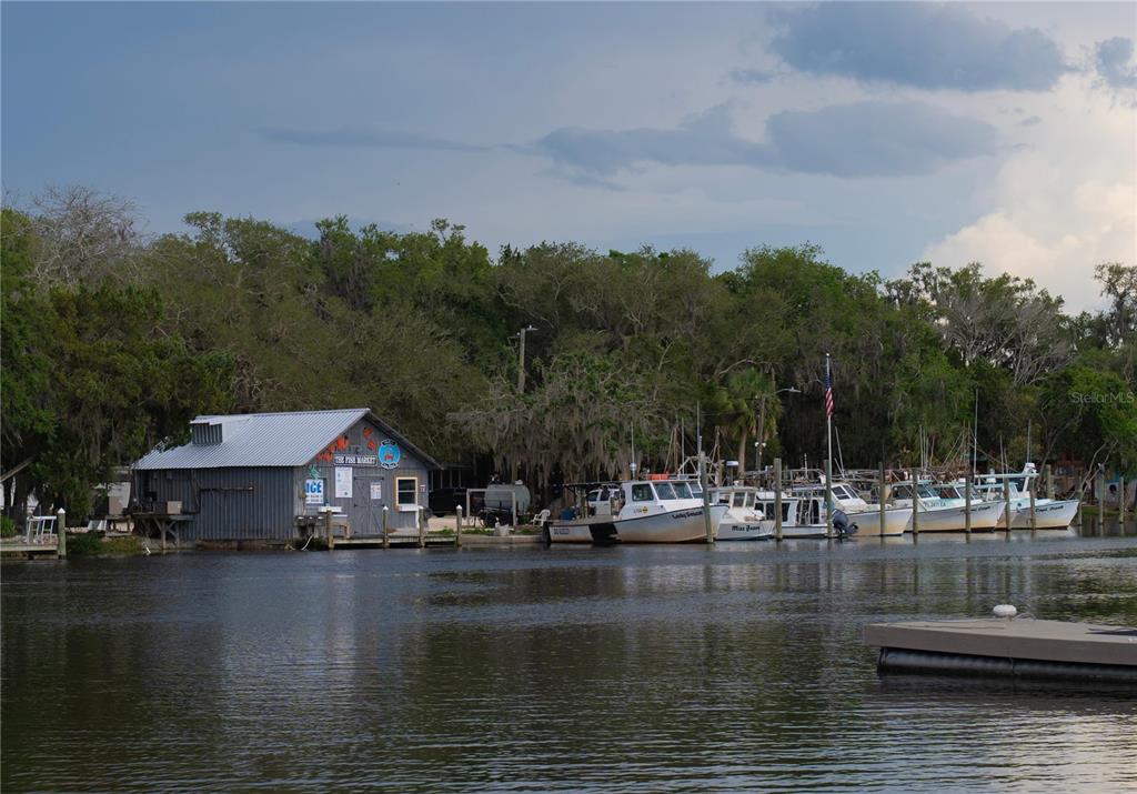 11579 West Rosa Court Homosassa, FL 34448 - Photo 64 of 65 Gallery Image 64