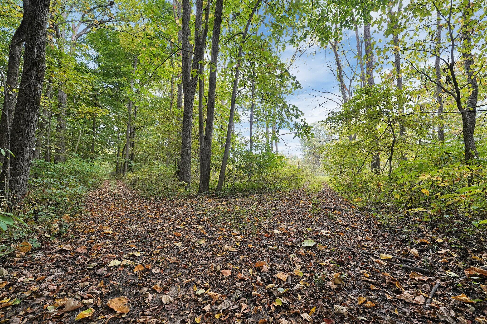 3816 Headleys Mill Road Southwest Pataskala, OH 43062 - Photo 38 of 50 Trail view