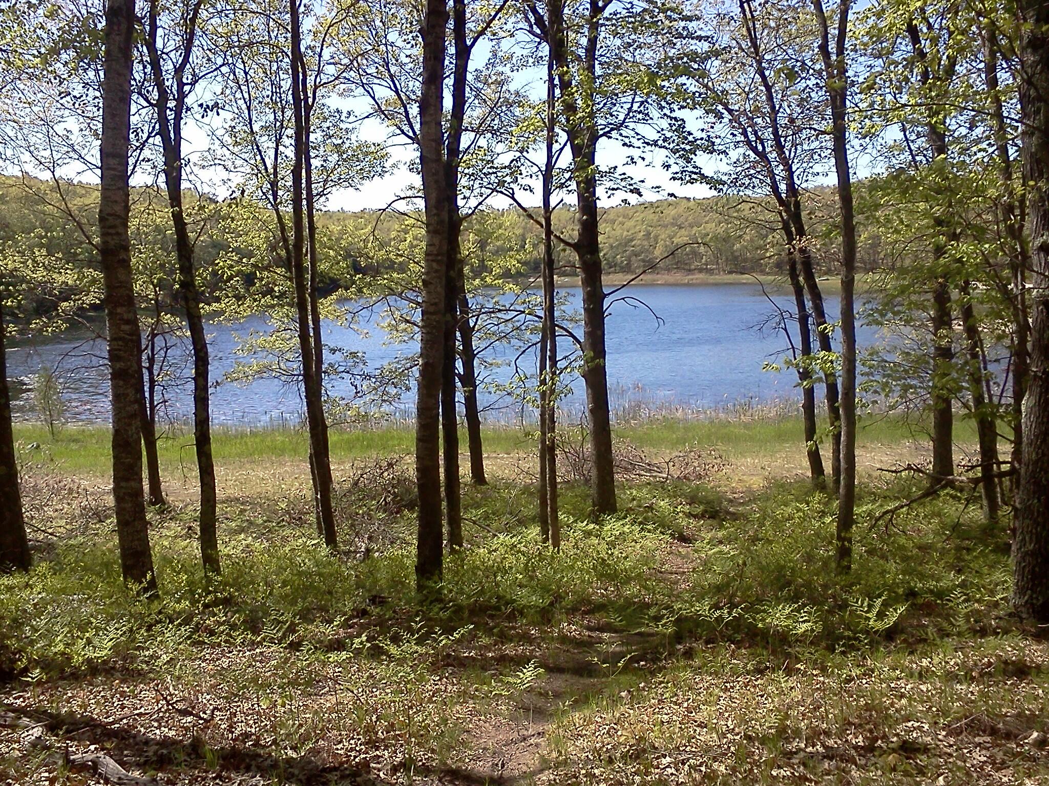 11373 South Rabbit Road Baldwin, MI 49304 - Photo 17 of 21 lake 2