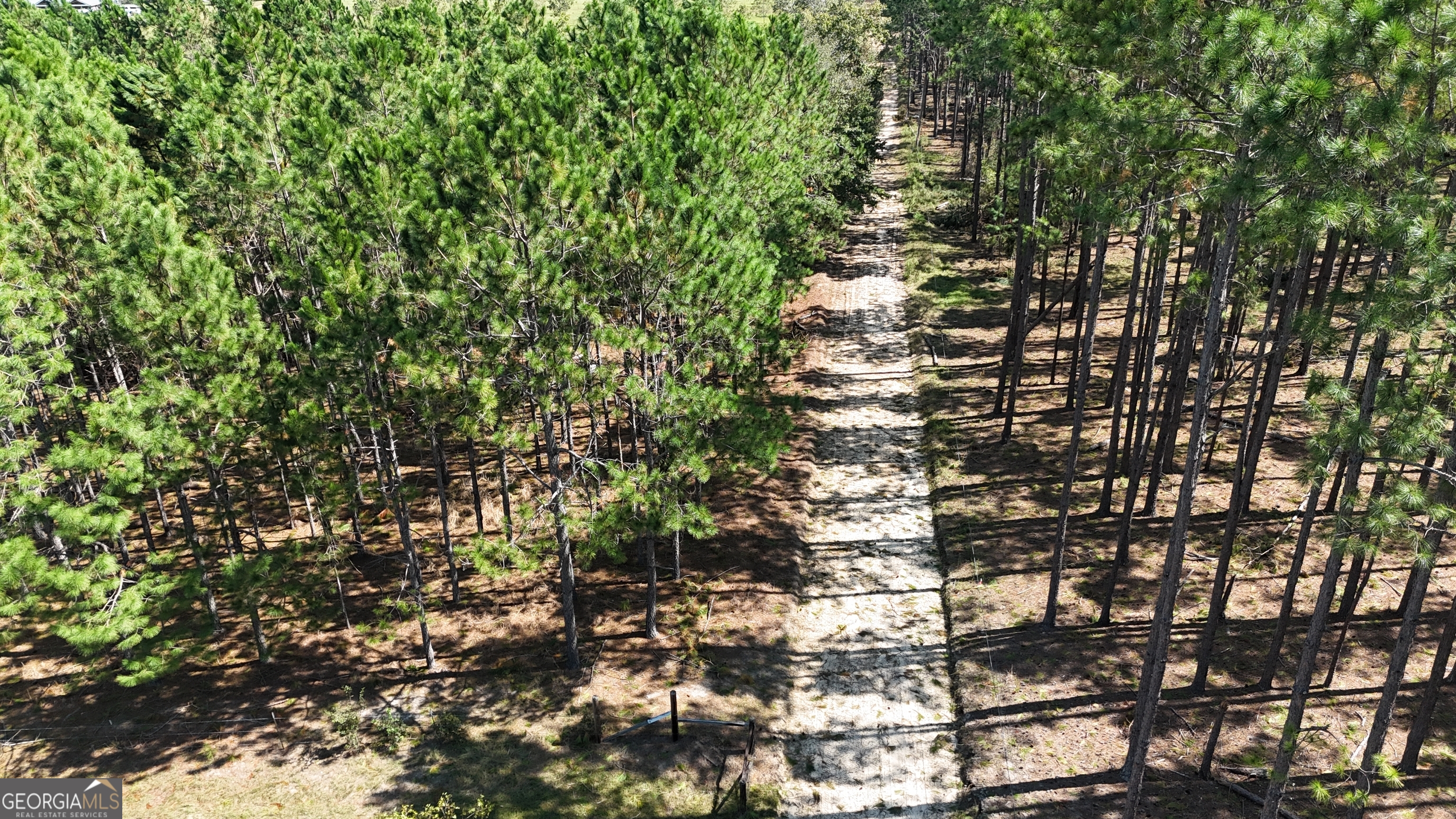 412 Dana Road Baxley, GA 31513 - Photo 1 of 1