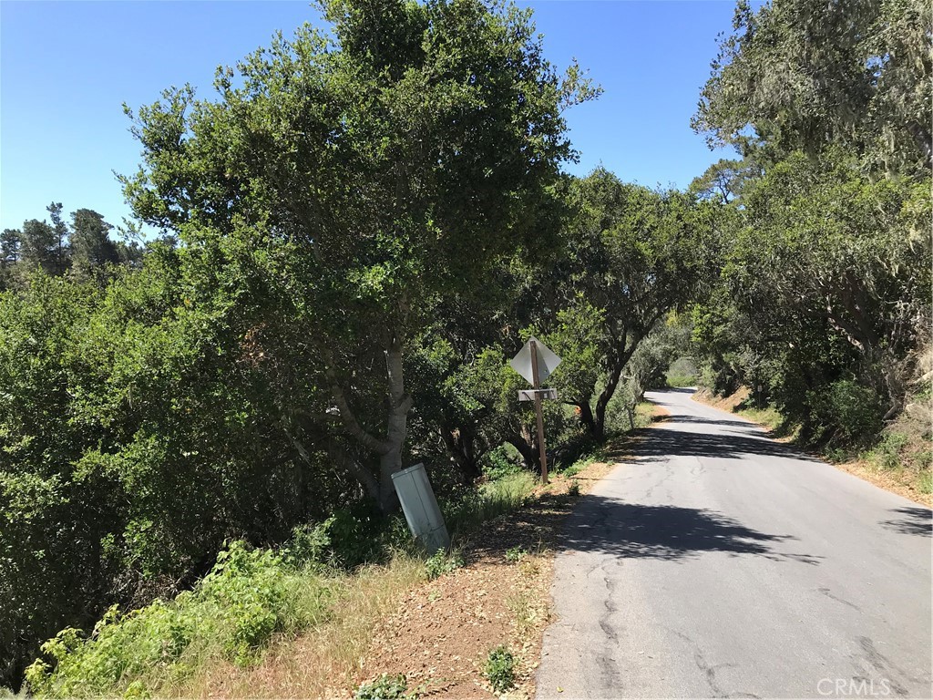 0 Hillcrest Drive Cambria, CA 93428 - Photo 14 of 16 a view of outdoor space and yard
