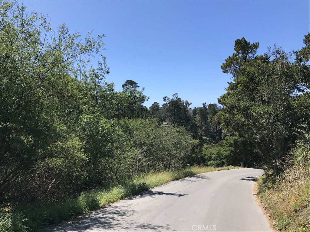0 Hillcrest Drive Cambria, CA 93428 - Photo 16 of 16 a view of a road with a tree in the background