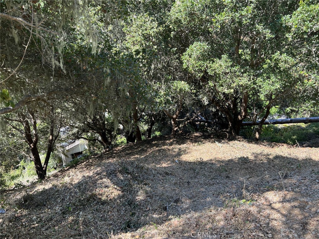 0 Hillcrest Drive Cambria, CA 93428 - Photo 6 of 16 a view of a yard with a tree