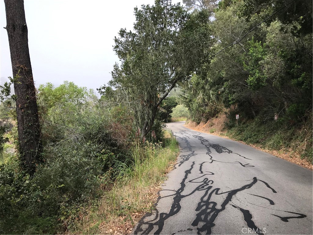 0 Hillcrest Drive Cambria, CA 93428 - Photo 8 of 16 a view of a yard with plants and trees