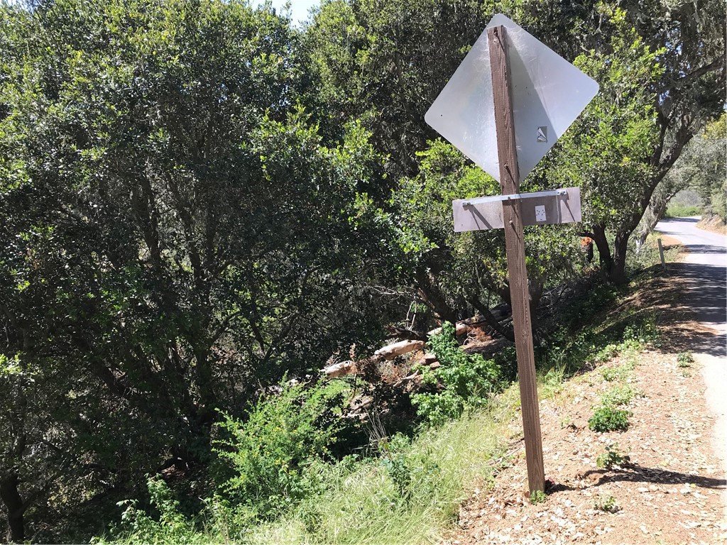 0 Hillcrest Drive Cambria, CA 93428 - Photo 9 of 16 a view of a street sign under a large tree