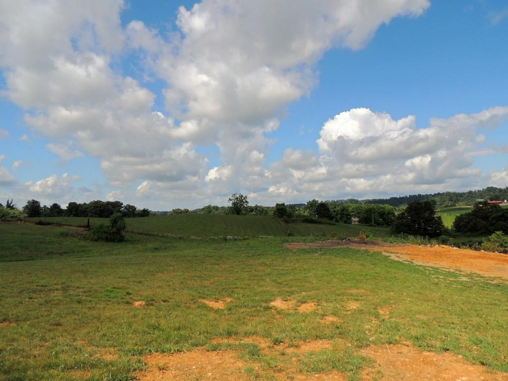 387 Ducktown Road Limestone, TN 37681 - Photo 32 of 33 Back Countryside Views