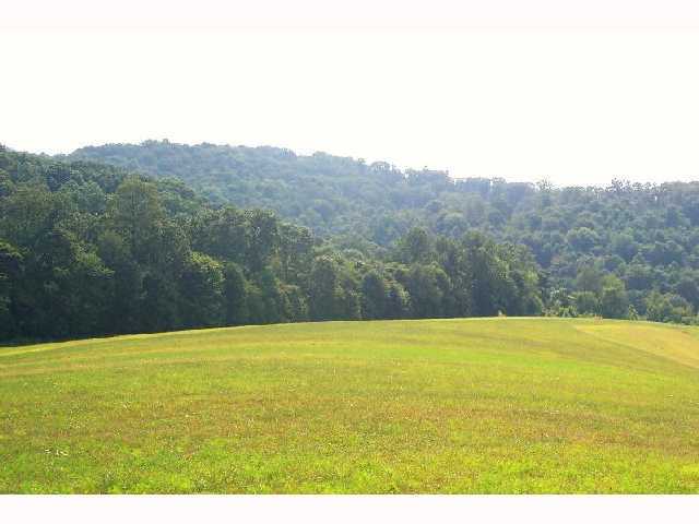 4730 Fostor Road, Unit LOT 1 Dresden, OH 43821 - Photo 2 of 2