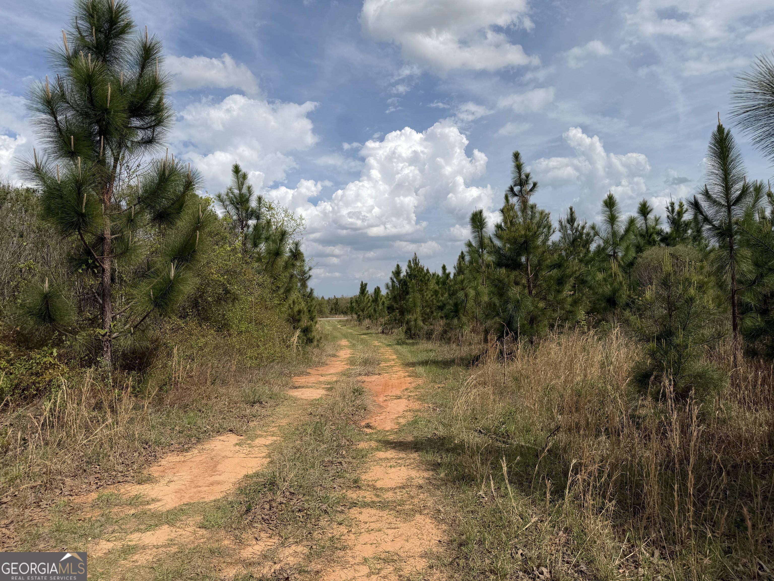 12 Barge Road Lumpkin, GA 31815 - Photo 11 of 12