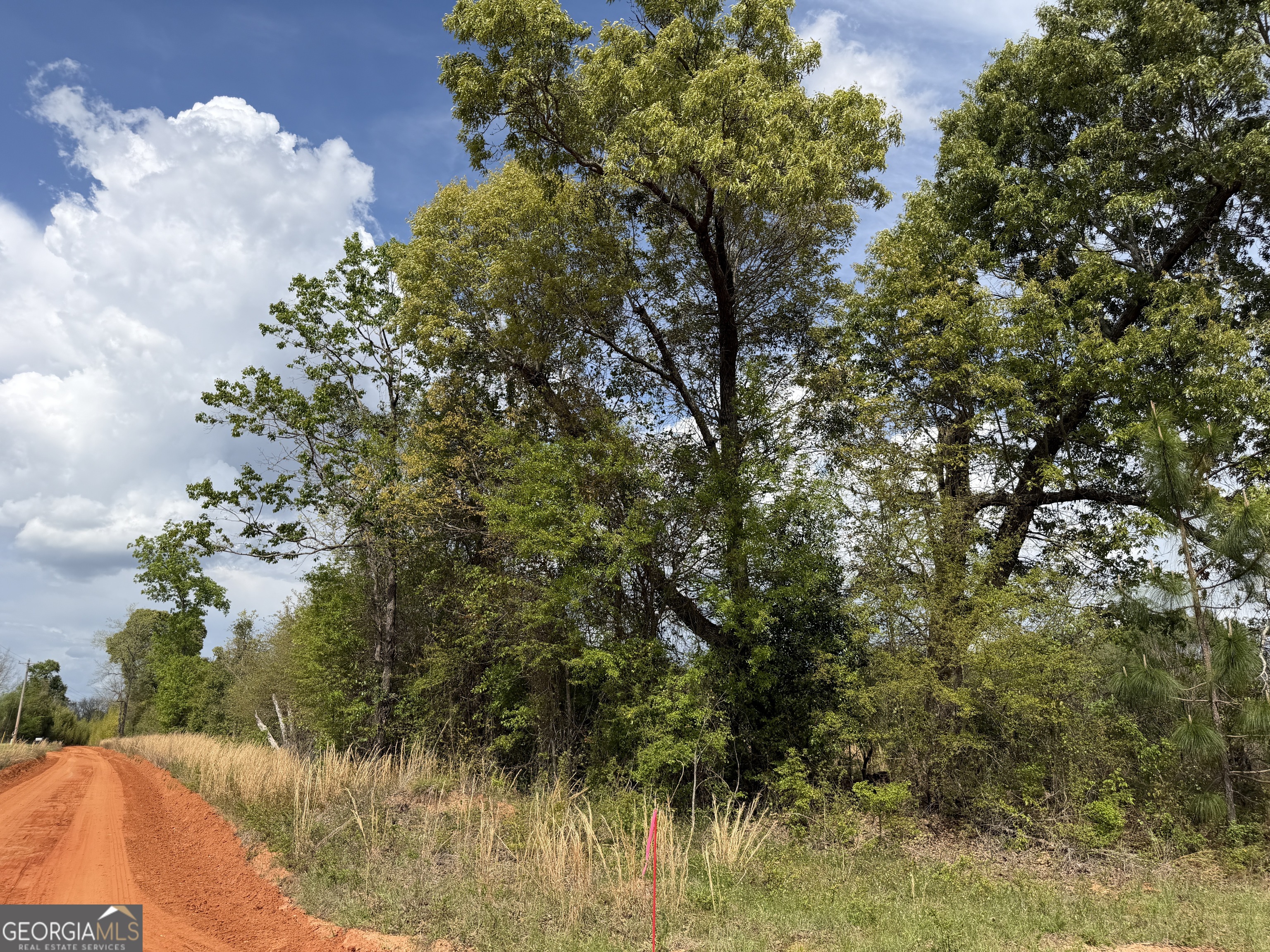 12 Barge Road Lumpkin, GA 31815 - Photo 12 of 12