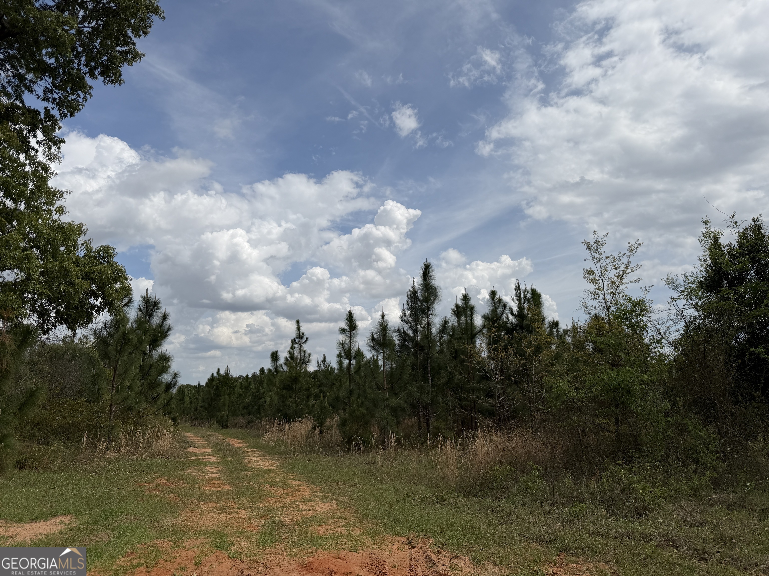 12 Barge Road Lumpkin, GA 31815 - Photo 4 of 12