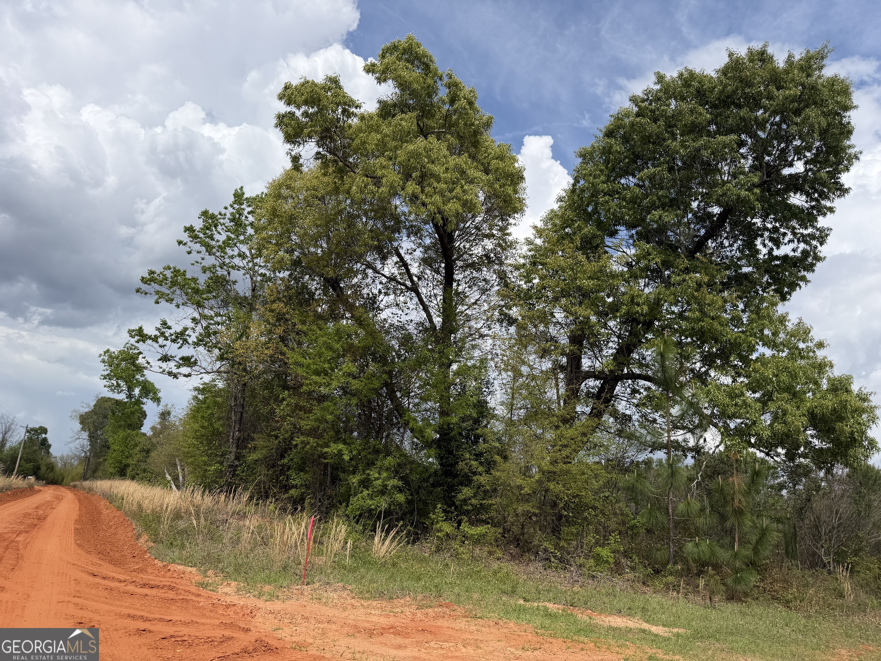 12 Barge Road Lumpkin, GA 31815 - Photo 5 of 12