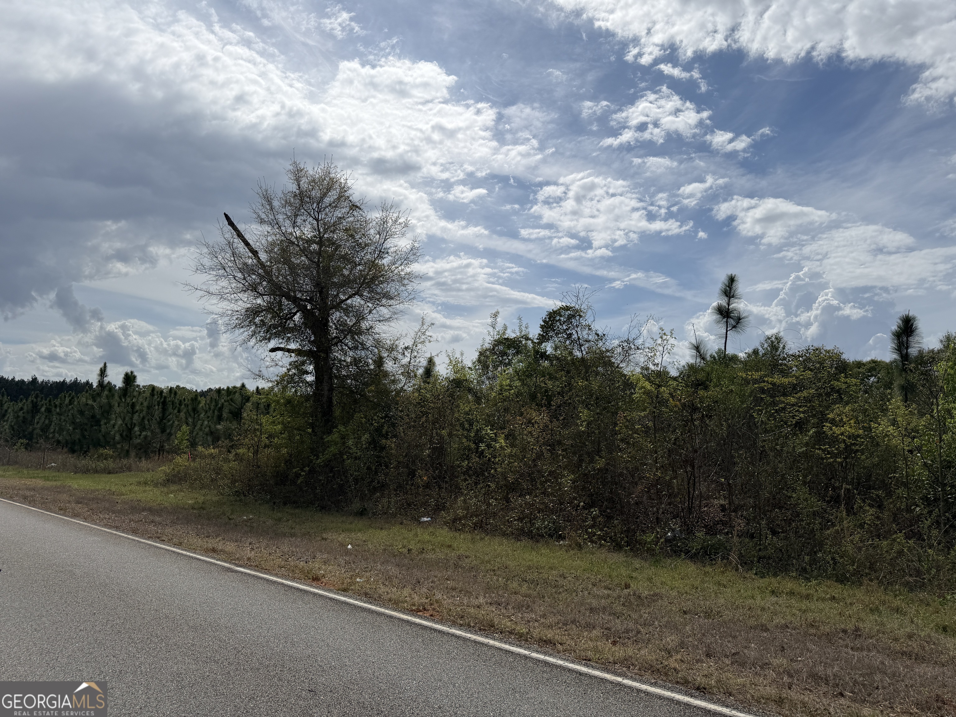 12 Barge Road Lumpkin, GA 31815 - Photo 6 of 12