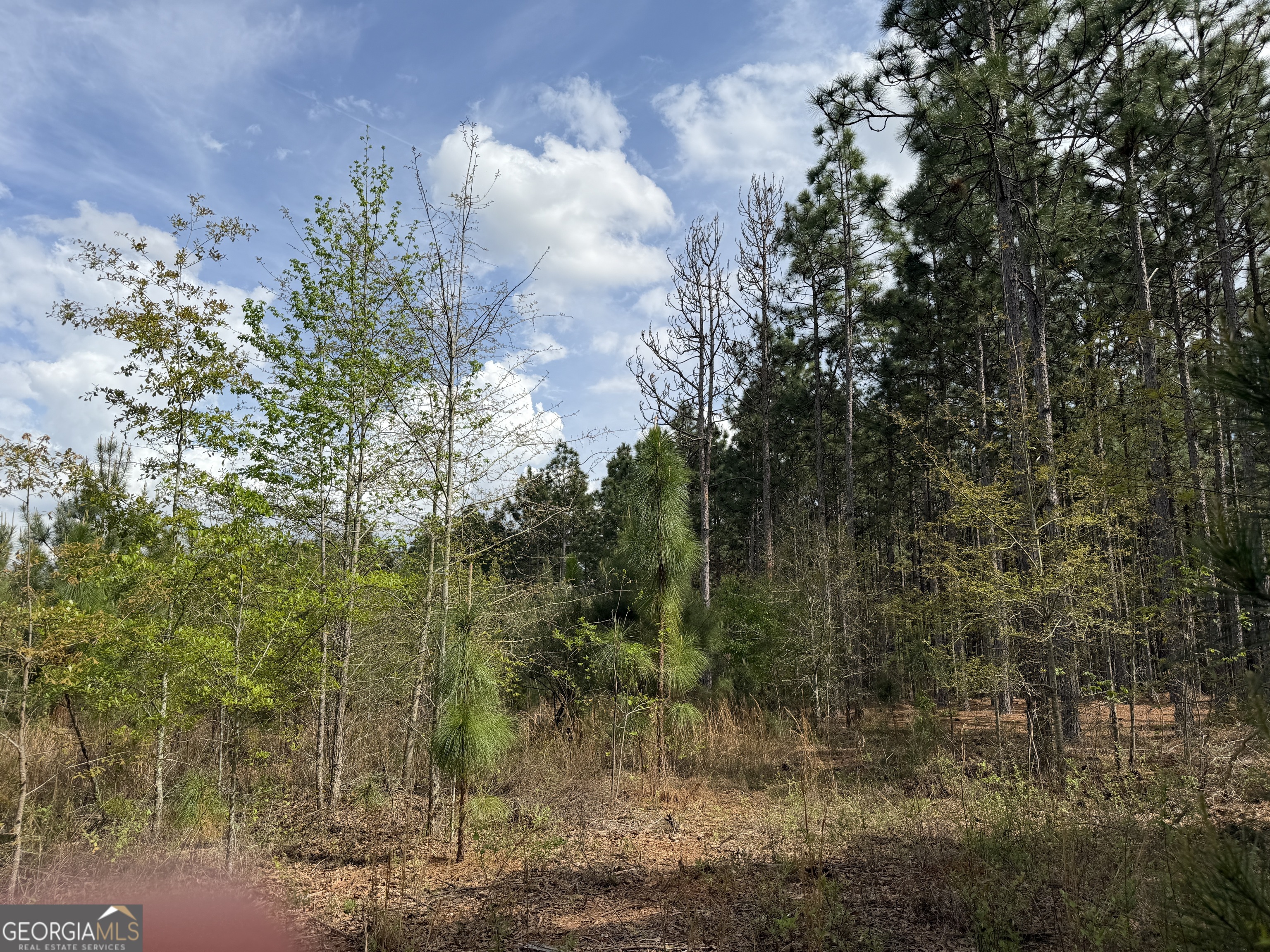 12 Barge Road Lumpkin, GA 31815 - Photo 8 of 12