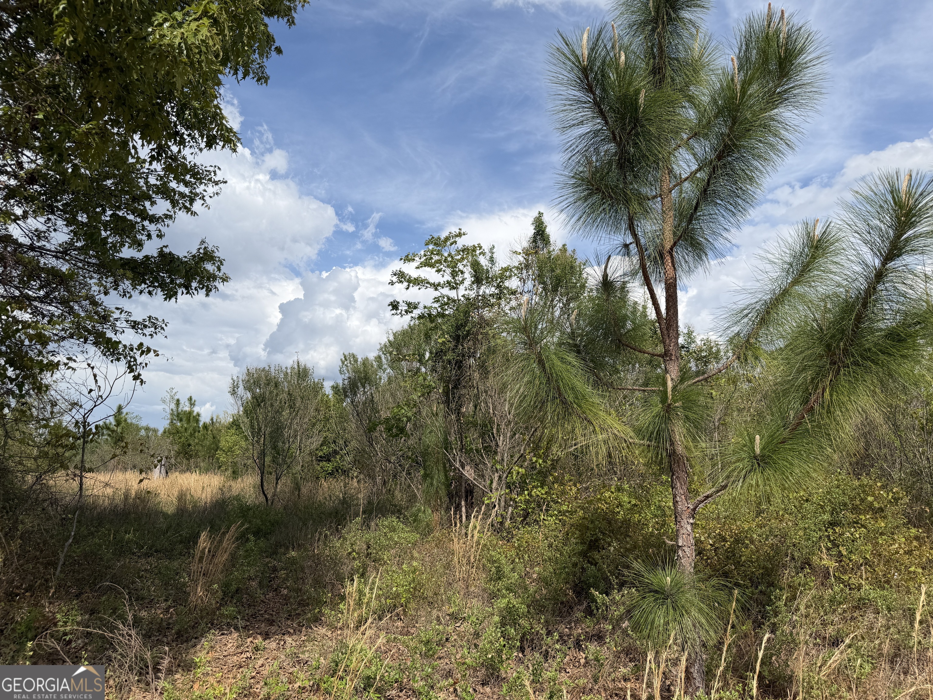 12 Barge Road Lumpkin, GA 31815 - Photo 10 of 12