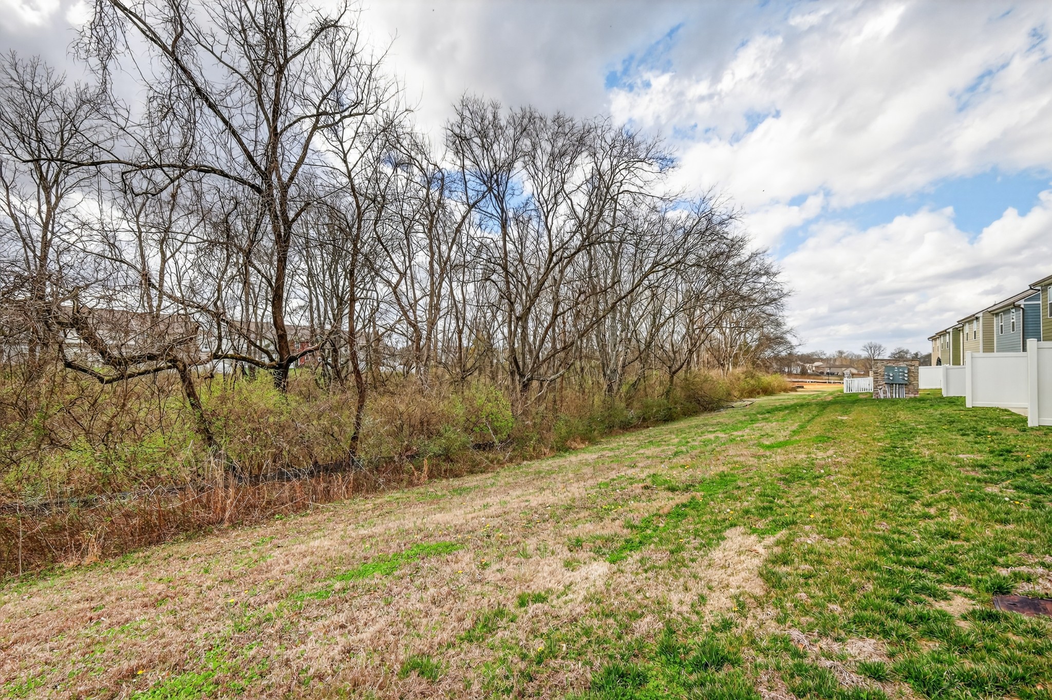1085 Duncan Street Gallatin, TN 37066 - Photo 34 of 35 a view of a yard with large trees