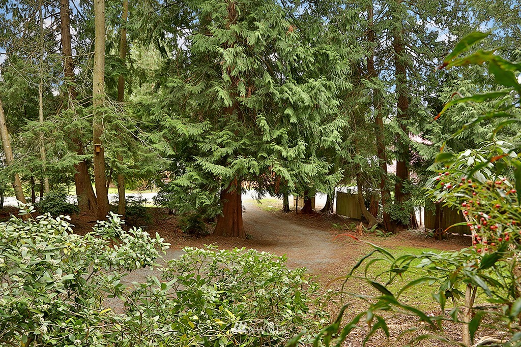 2879 Sunlight Drive Clinton, WA 98236 - Photo 19 of 22 Gallery Image 19