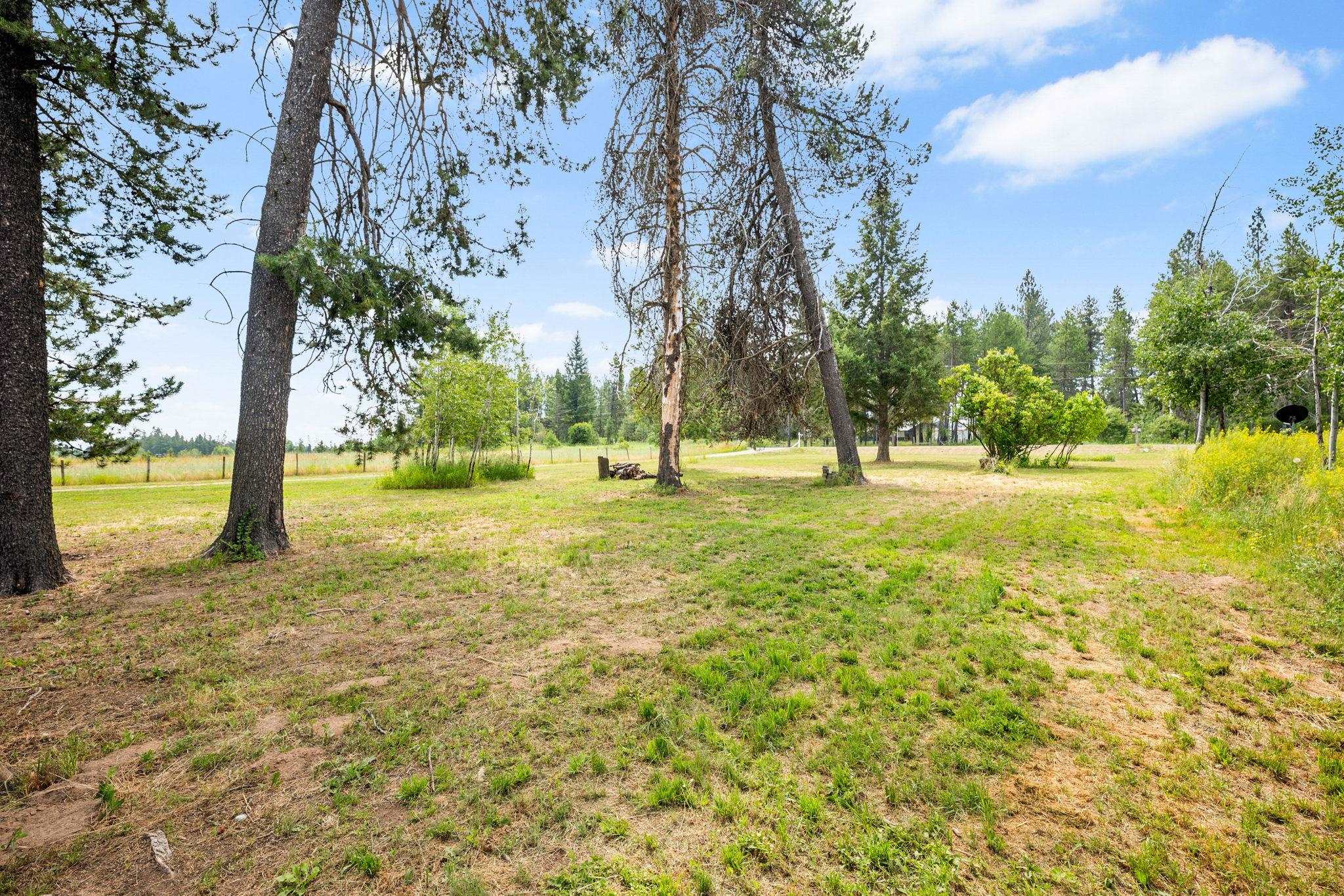 4796 West Gibson Dahl Road Clayton, WA 99110 - Photo 42 of 50