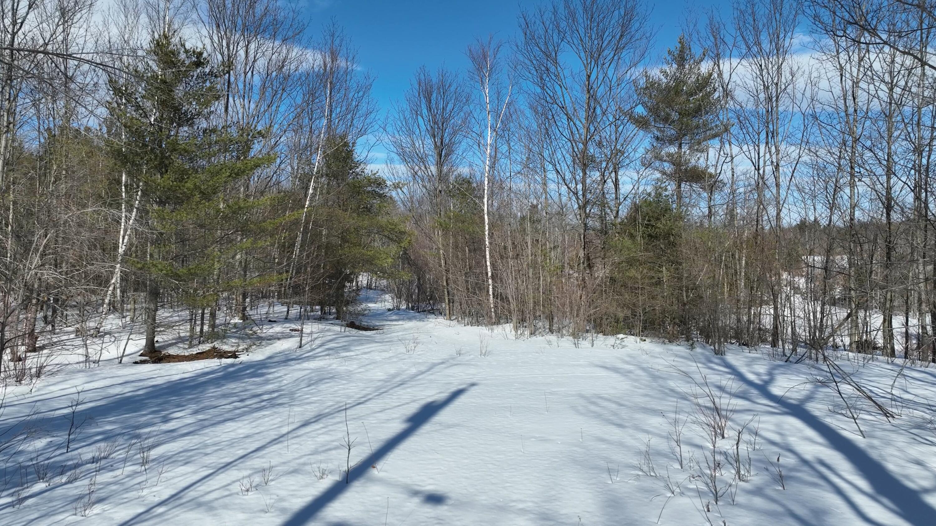Lot 1 Crash Road Livermore, ME 04253 - Photo 15 of 20 Crash Rd_2.9.2