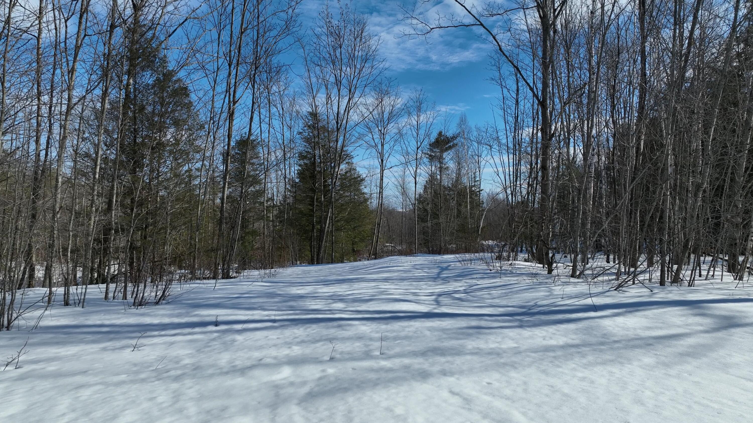 Lot 1 Crash Road Livermore, ME 04253 - Photo 16 of 20 Crash Rd_2.10.1