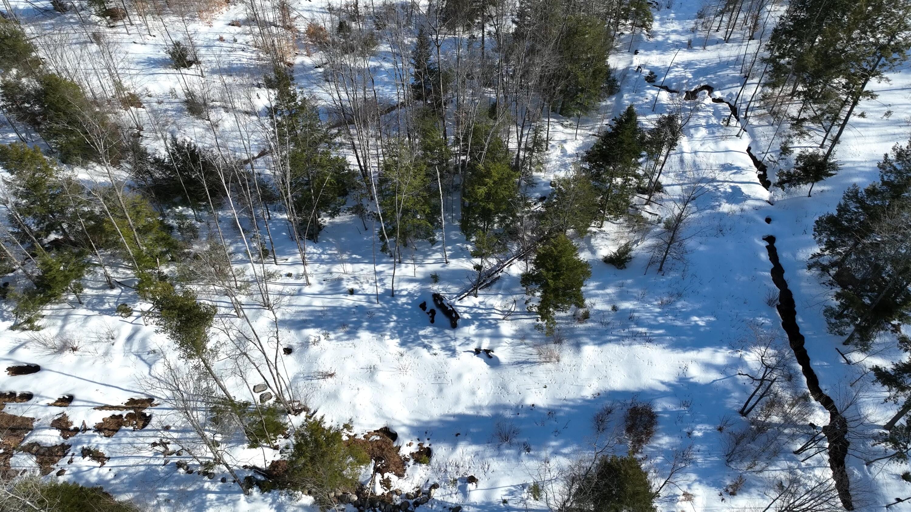 Lot 1 Crash Road Livermore, ME 04253 - Photo 20 of 20 Crash Rd_2.11.1