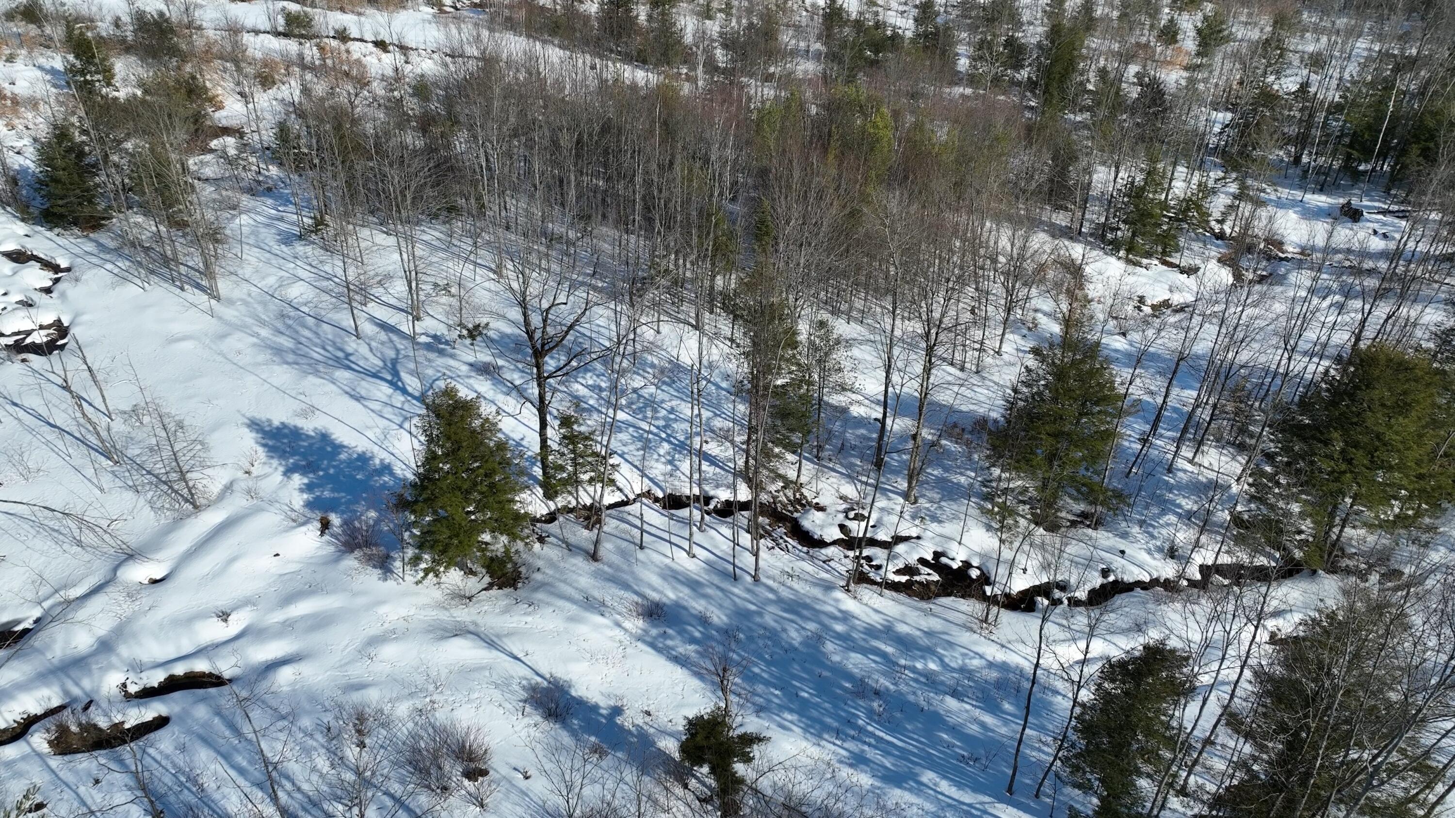 Lot 1 Crash Road Livermore, ME 04253 - Photo 4 of 20 Crash Rd_2.2.1