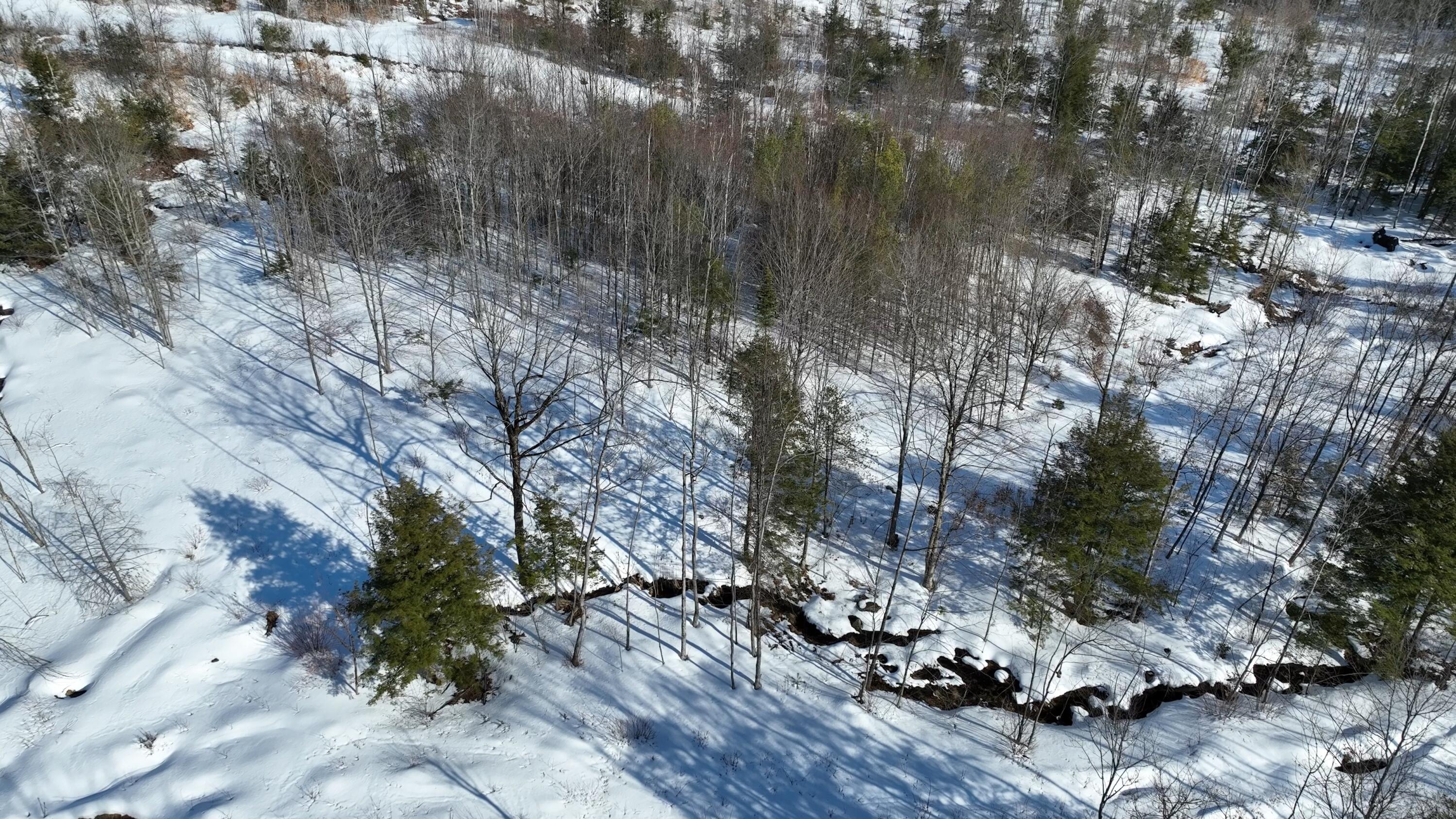 Lot 1 Crash Road Livermore, ME 04253 - Photo 5 of 20 Crash Rd_2.2.2
