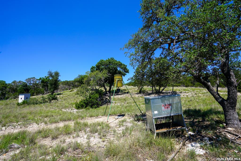 204 Wilson Rand Road Hunt, TX 78024 - Photo 5 of 46
