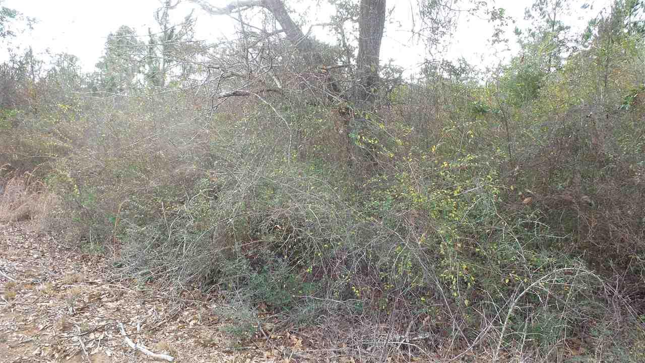 0 Old Foshee Road Brewton, AL 36426 - Photo 1 of 1