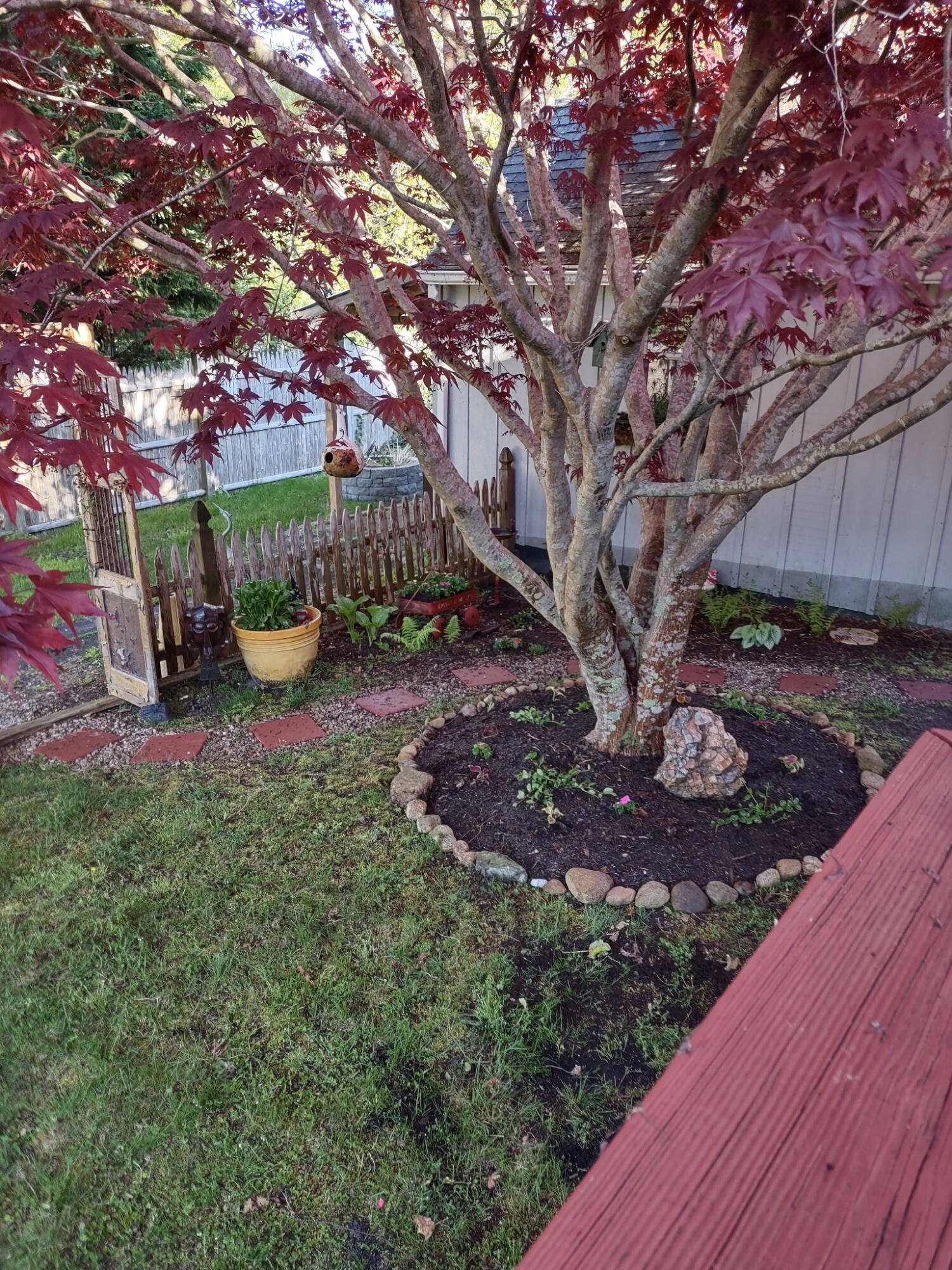 70 Trowbridge Path West Yarmouth, MA 02673 - Photo 65 of 69 a view of a backyard with large trees