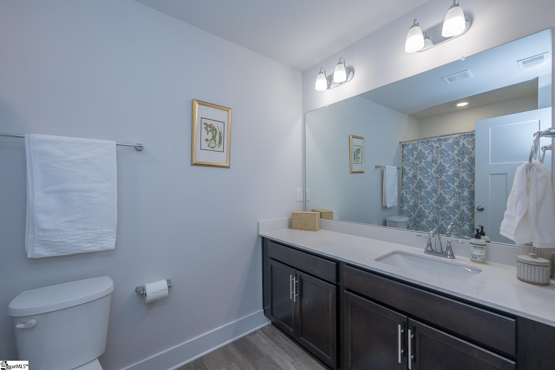 305 Albemarle Lane Greer, SC 29650 - Photo 19 of 29