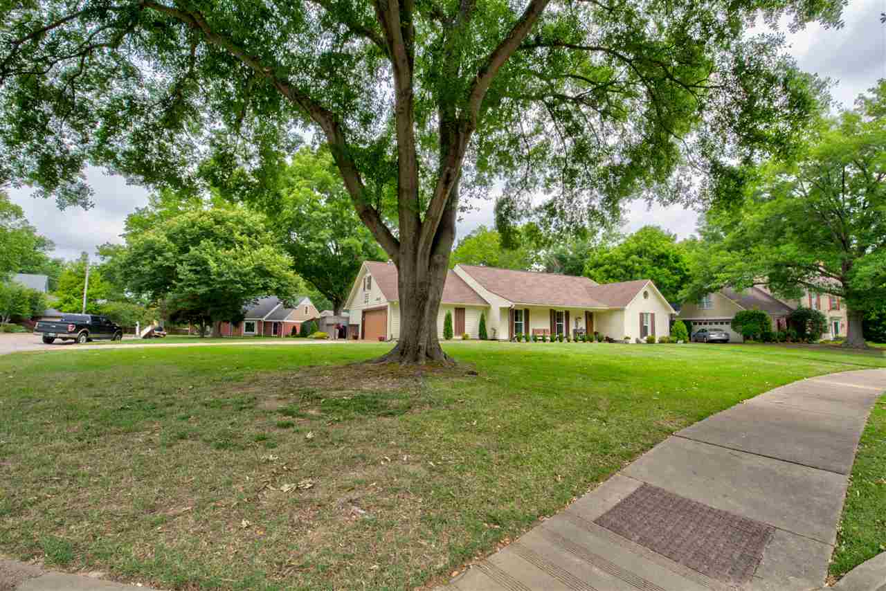 116 East Powell Road Collierville, TN 38017 - Photo 25 of 25 Gallery Image 25