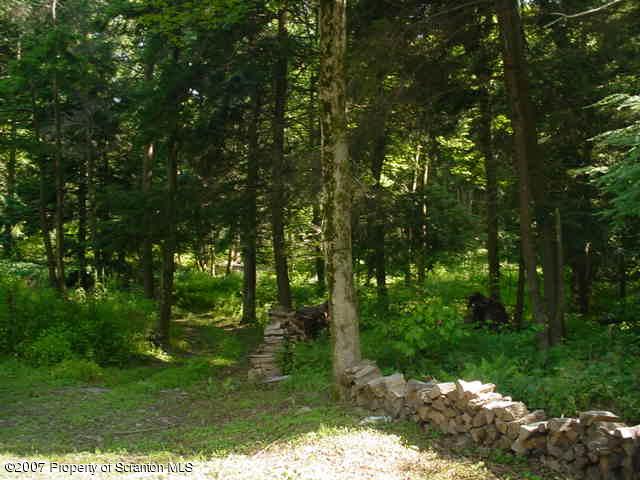 193 Elk Lake Road Meshoppen, PA 18630 - Photo 11 of 12 a backyard of a house with lots of green space